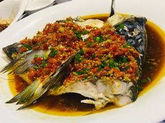 -毛家饭店(澳德乐店)