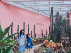 -正佳雨林生态植物园