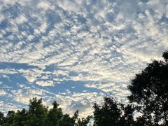 -半天妖烤鱼(芝罘万达店)