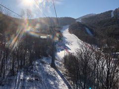 -亚布力新体委滑雪场