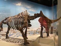 -国家自然博物馆