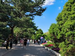 -北陵公园