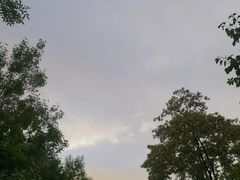 -森林公园(尖草坪区)