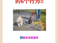 -爱侣·安琦尔宠物医院·中兽医针灸·心内科·狂犬免疫点(宝山区院)