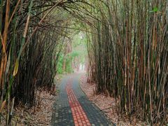 -广富林郊野公园