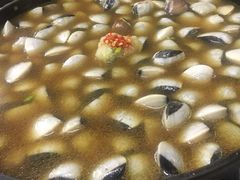 -顺德哥卜卜贝(旗舰店)