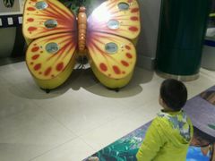 android_upload_pic-上海昆虫博物馆