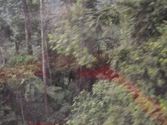 -云顶高原