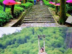 -莫干山风景区