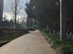 -龙头寺公园