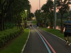 -上海长兴岛郊野公园