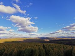 -塞罕坝国家级自然保护区