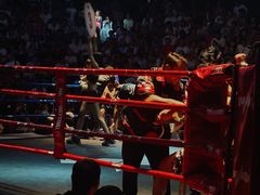 -芭提雅MAX泰拳馆