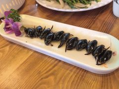 -美未居·老字号·地道顺德菜·桑拿鸡·鱼生(容桂店)