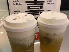 多肉玫珑瓜-喜茶(广州东方宝泰店)