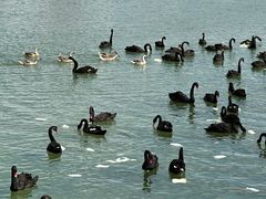 -水上乐园·欢乐世界