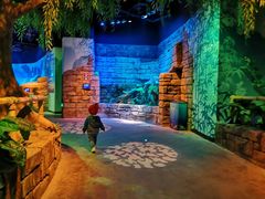 -沈阳海洋探索中心