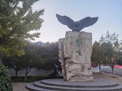 -北京鹫峰国家森林公园