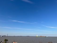 -上海滨江森林公园