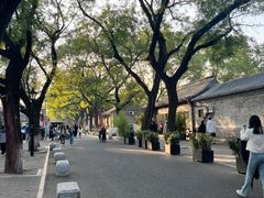 -北京国子监胡同
