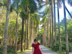 -华南国家植物园-售票处