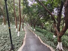 -龙头寺公园