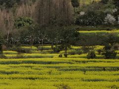 -樱桃山旅游景区