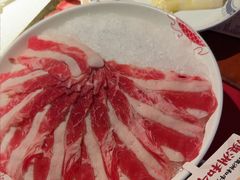 -小龙坎火锅(全球旗舰店)