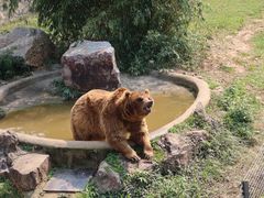 -无锡动物园·太湖欢乐园