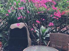-T館·花园艺术餐厅