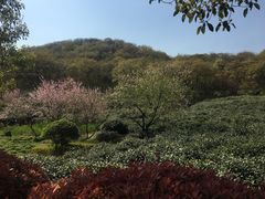 -南京市江宁方山