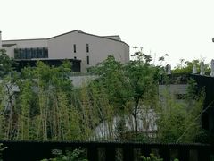 -上海崇明金茂凯悦酒店