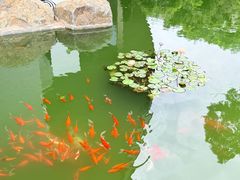 -抚仙湖禄充风景区