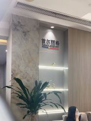 -上海首尔丽格医疗美容医院