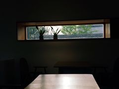 -春风习习