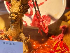 -小龙翻大江文化火锅(宽窄店)