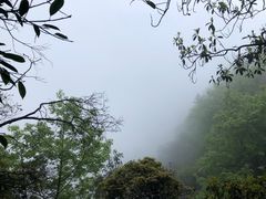 -缙云山景区