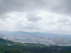 -长虫山生态公园风景林