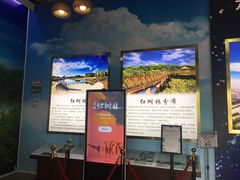 -大亚湾红树林城市湿地公园