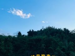 -西双版纳原始森林公园