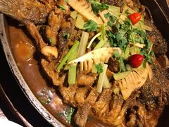 老板恋上鱼-老板恋上鱼(高新万达店)