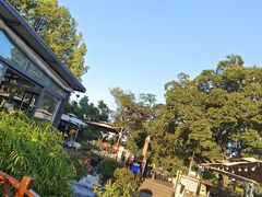 -蘇河湾·新鲁菜·泰山宴(泰山店)