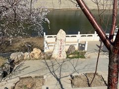 -桃花堤公园