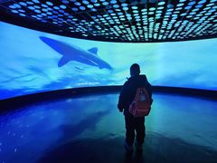 -同济大学四平路校区深海探索馆