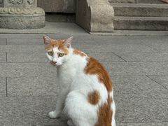 -龙华素斋(龙华路店)