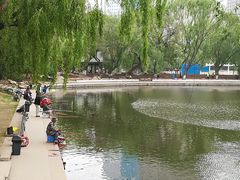 景点-沈阳南湖公园