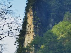 -光雾山旅游景区