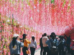 -北戴河集发农业梦想王国