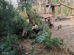-宜春禅都文化博览园