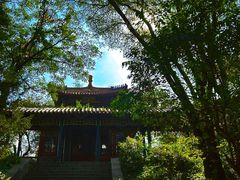 -高尔山公园